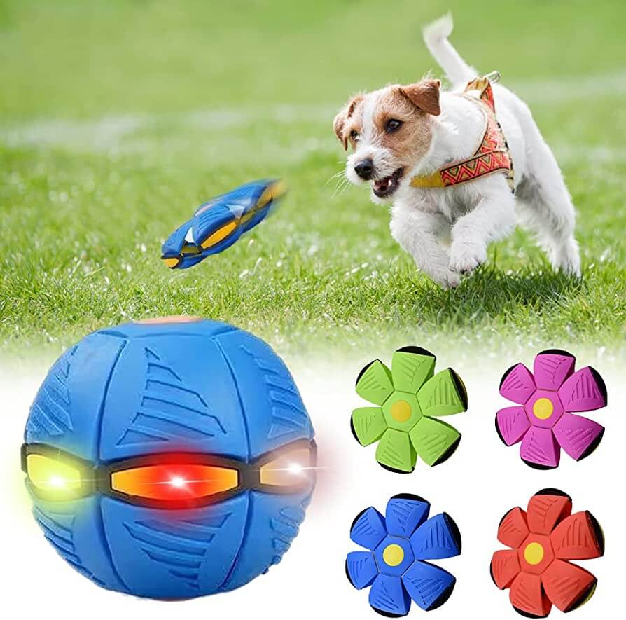 Durable Dog Frisbee Ball Toy – Interactive Fetch Toy for Happy with colorful design and a dog playing outside.